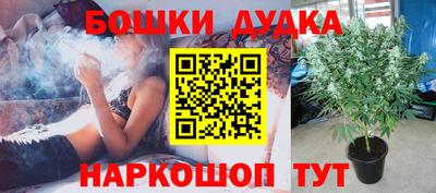 прущие грибы Краснознаменск