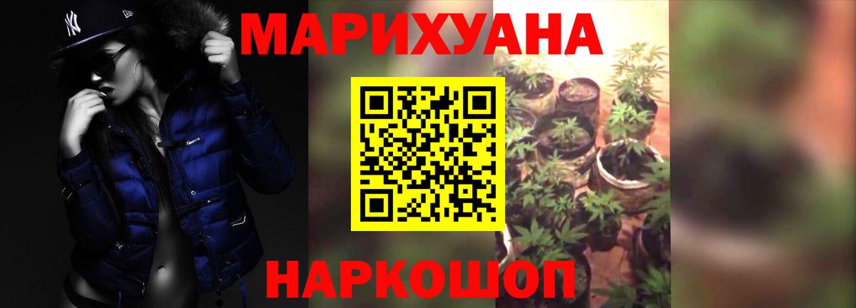 Бошки Шишки планчик Касимов